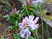 DSCPDC_0002_BURST20210927071358150_COVER