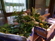 16581763710818449967960130941773