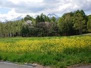 DSCPDC_0003_BURST20220507130154370_COVER