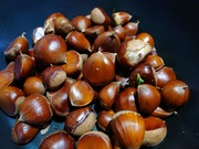 16641826210123926375353733459769