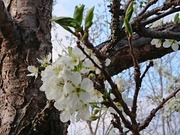 DSCPDC_0001_BURST20220430174549736_COVER