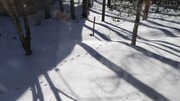 260128095816361