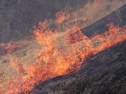 DSCPDC_0000_BURST20220410091200683