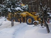 DSCPDC_0003_BURST20220202160123465_COVER