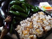 16631360926571589174261280198978