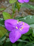 IMG_20200616_062130