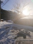 IMG_20201219_080853