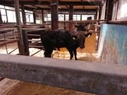 DSCPDC_0002_BURST20210917094103304_COVER