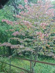IMG_20200918_080100