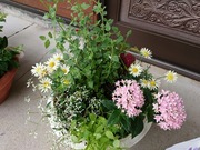 DSCPDC_0002_BURST20200624104827830