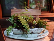 16581764357134348294640402161635