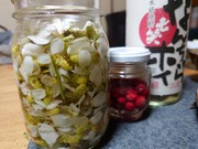 16572764502586987008105607808583