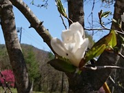 DSCPDC_0002_BURST20200507085221629