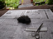 1659741861496872895776050129250