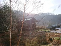 20180412_065944_3936845036665209473