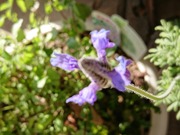 IMG_20201205_091734