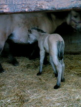 6ec4b830.JPG