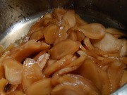 16647602515692735813711790373203