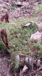 260420121138740