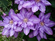 DSCPDC_0000_BURST20210628143909933