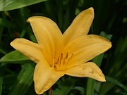 DSCPDC_0003_BURST20220613091122306_COVER