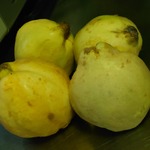 16651219659751787677428049883411