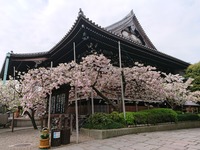 20180409_085150_2383809023644863392