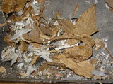 8e091df8.JPG