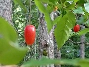 DSCPDC_0003_BURST20210717163853983_COVER