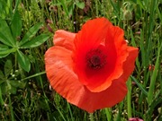 DSCPDC_0001_BURST20220623151324259_COVER