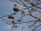 97df9765.JPG