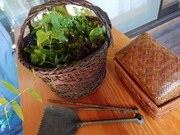 16616624751714486941554970212694