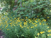 16582938902311597990691406682675