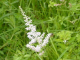 9e982f27.JPG