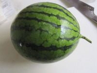 006