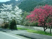 DSCPDC_0002_BURST20220420104241141_COVER