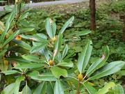 16634518422222031898846549006356