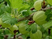 DSCPDC_0000_BURST20200616144602271