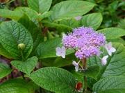 16610318071213312432400112602149