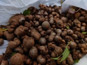 16641826805307374406805427226824