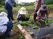 DSCPDC_0002_BURST20210620155247076