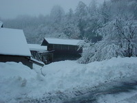 KIF_0217