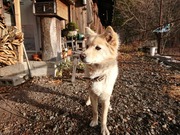 DSCPDC_0003_BURST20181123075323594_COVER