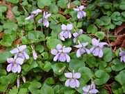 DSCPDC_0000_BURST20220504112020451