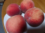 16618141411134954381527123205815