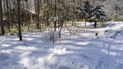 260116104957718