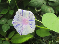 041