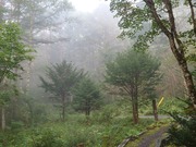 1662759175237650364954503787840