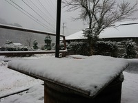 DSCPDC_0003_BURST20171118065616107_COVER