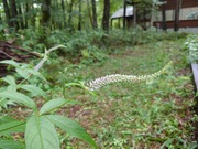 16584470359284122496255380423019